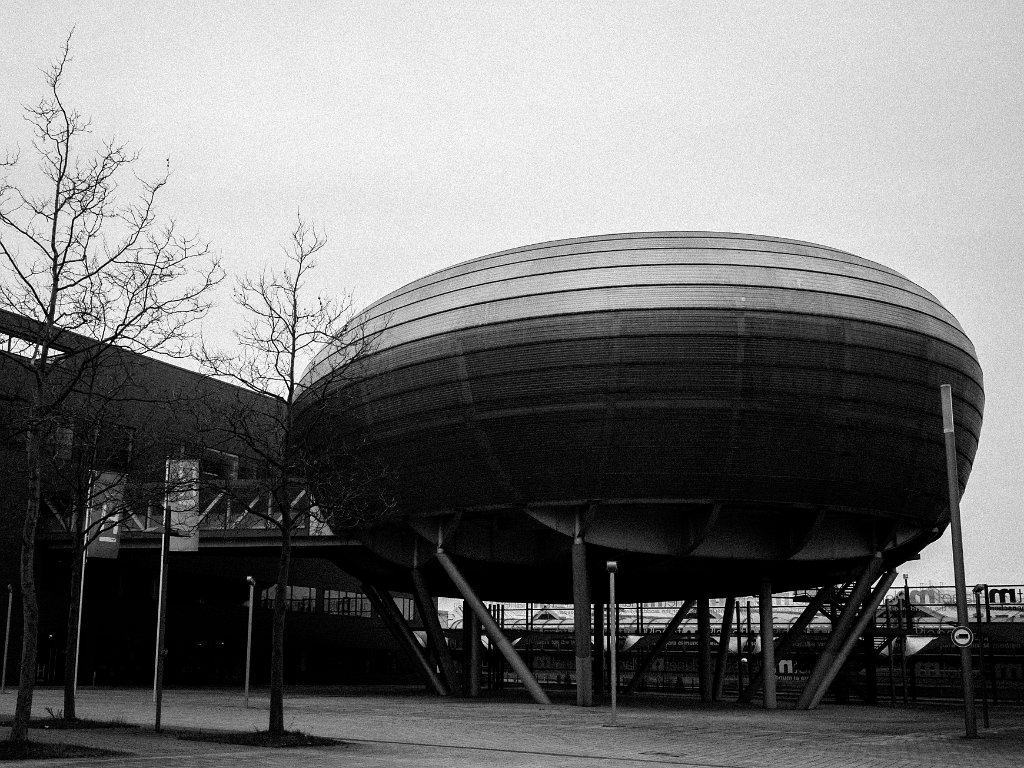 PC289525.jpg - OLYMPUS DIGITAL CAMERA