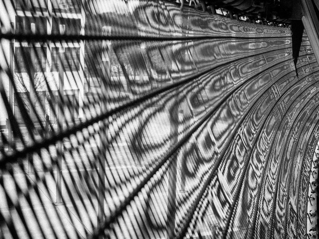 PC289534.jpg - OLYMPUS DIGITAL CAMERA