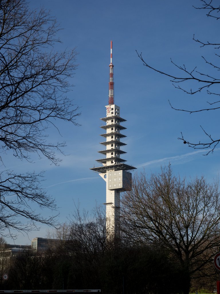 PC289559.jpg - OLYMPUS DIGITAL CAMERA