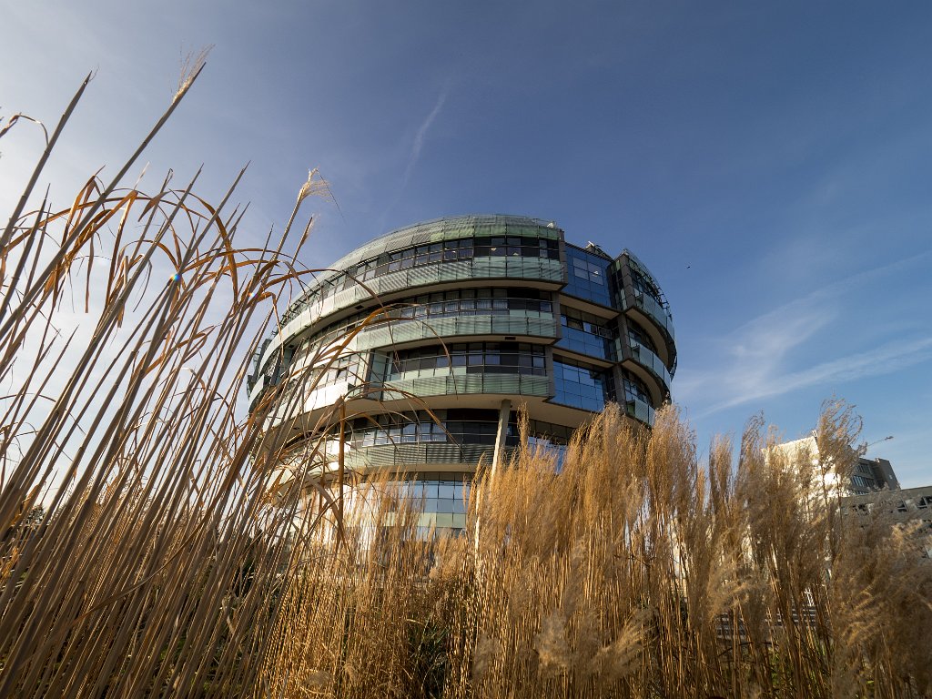 PC289583.jpg - OLYMPUS DIGITAL CAMERA