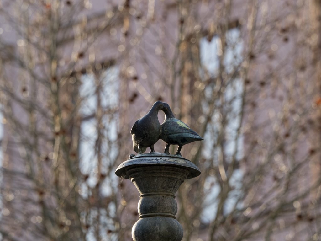 P1011123.jpg - OLYMPUS DIGITAL CAMERA