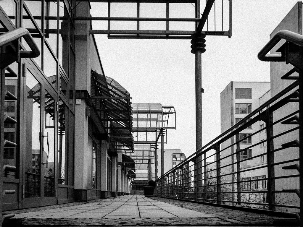 P1011263.jpg - OLYMPUS DIGITAL CAMERA