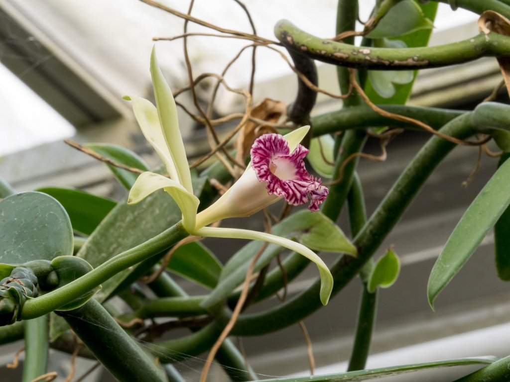 PC300146.jpg - OLYMPUS DIGITAL CAMERA