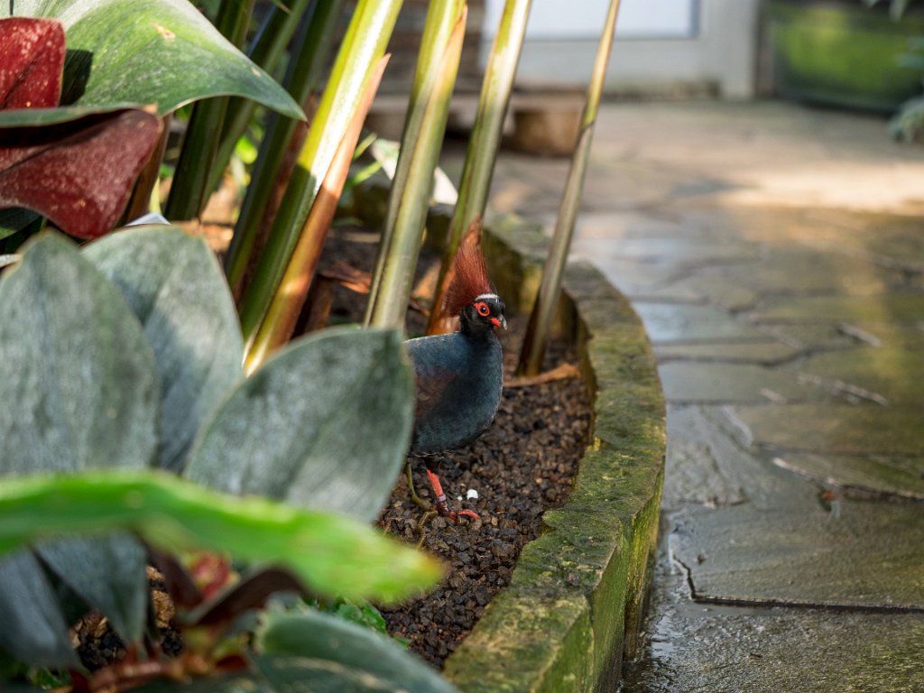 PC300327.jpg - OLYMPUS DIGITAL CAMERA