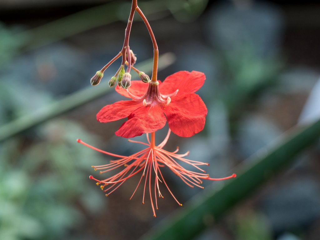 PC300335.jpg - OLYMPUS DIGITAL CAMERA