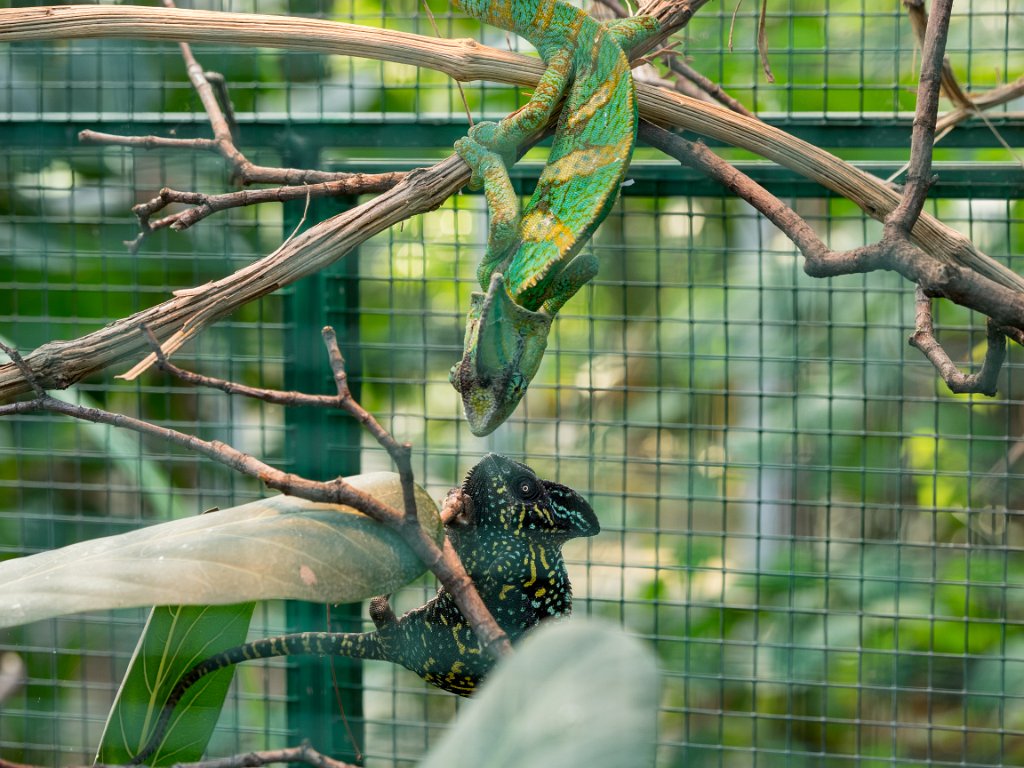 PC300347.jpg - OLYMPUS DIGITAL CAMERA