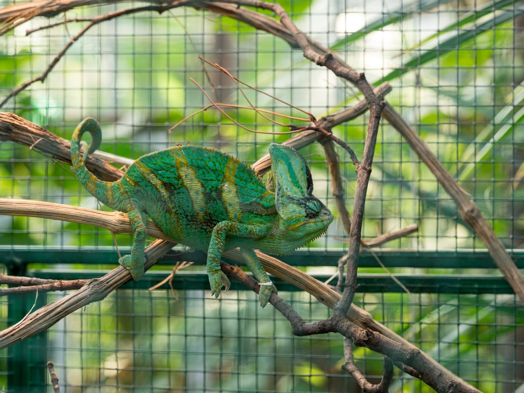 PC300354.jpg - OLYMPUS DIGITAL CAMERA