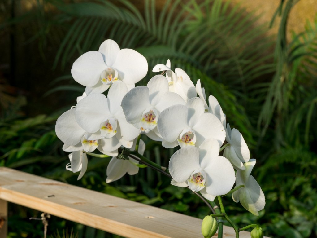 PC300401.jpg - OLYMPUS DIGITAL CAMERA