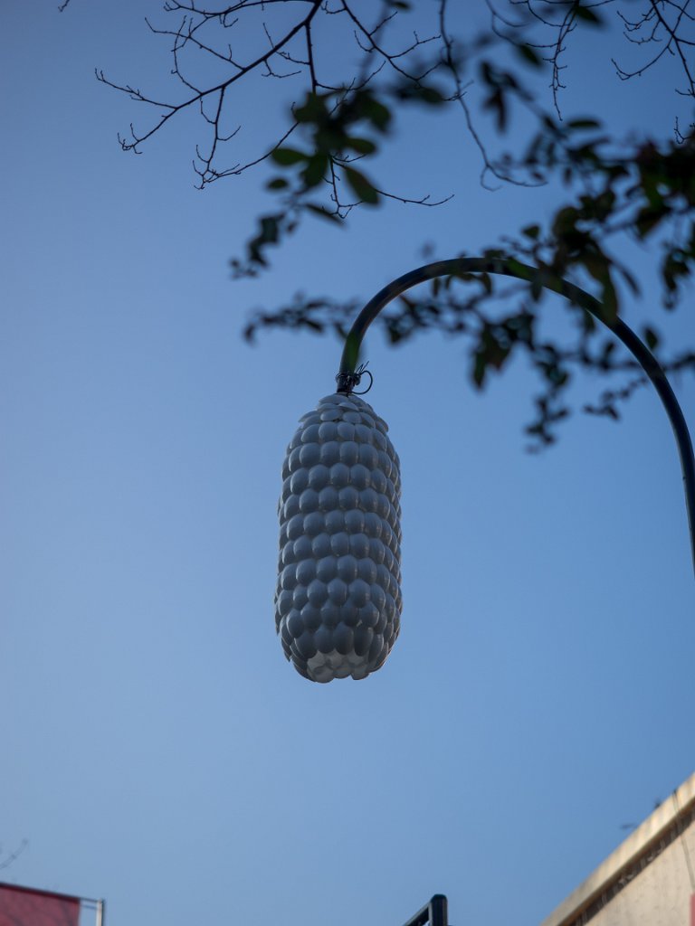 PC300412.jpg - OLYMPUS DIGITAL CAMERA