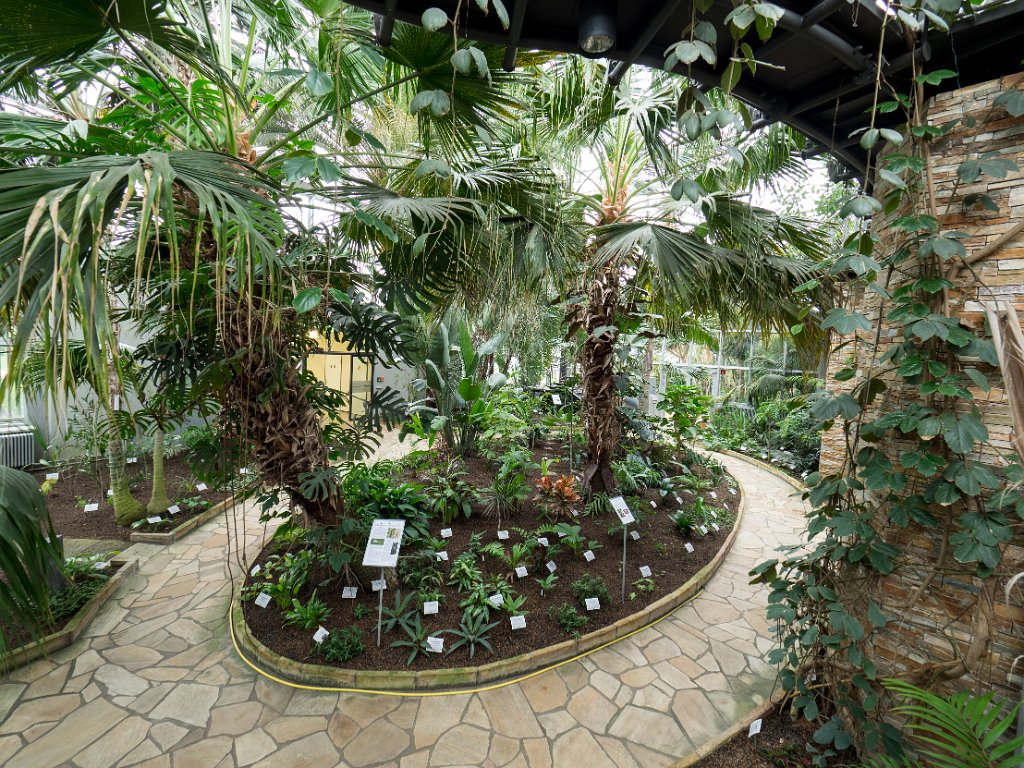 PC309807.jpg - OLYMPUS DIGITAL CAMERA