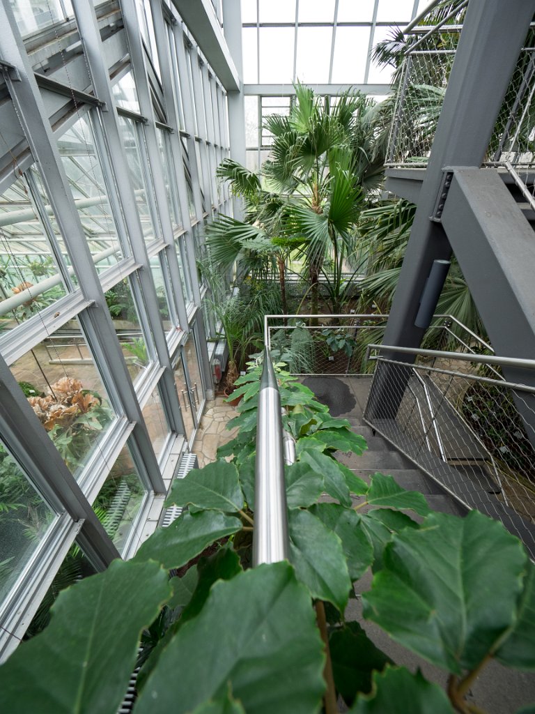 PC309809.jpg - OLYMPUS DIGITAL CAMERA