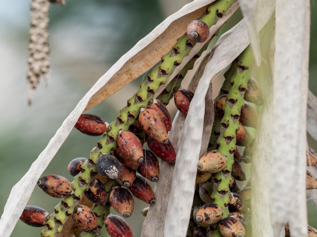 PC309821.jpg - OLYMPUS DIGITAL CAMERA