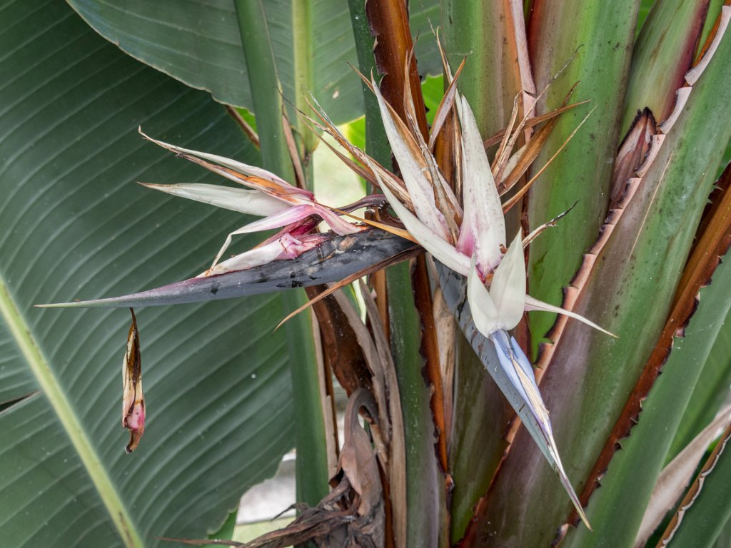 PC309830.jpg - OLYMPUS DIGITAL CAMERA