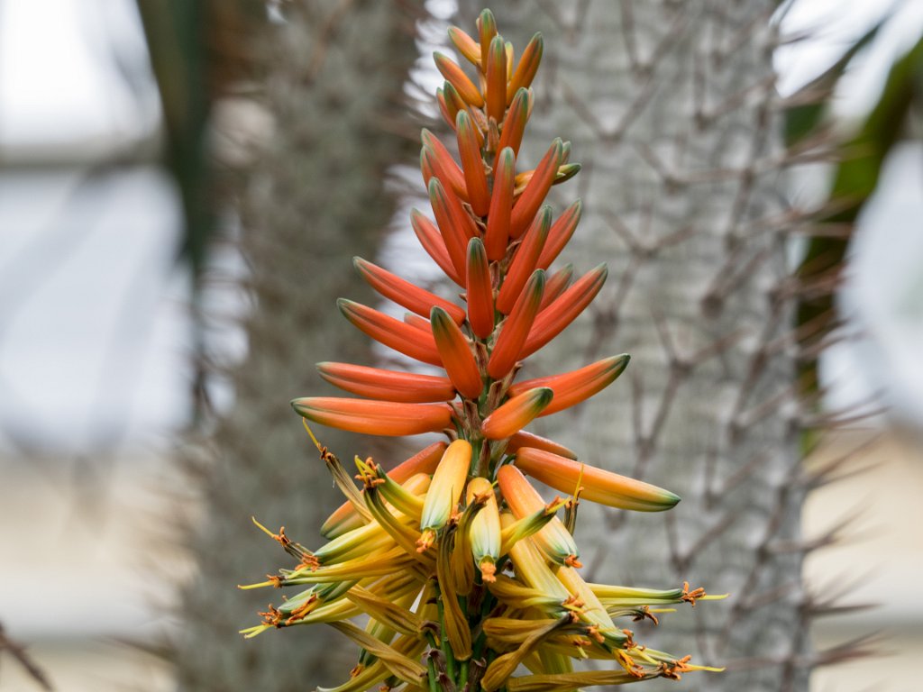 PC309832.jpg - OLYMPUS DIGITAL CAMERA