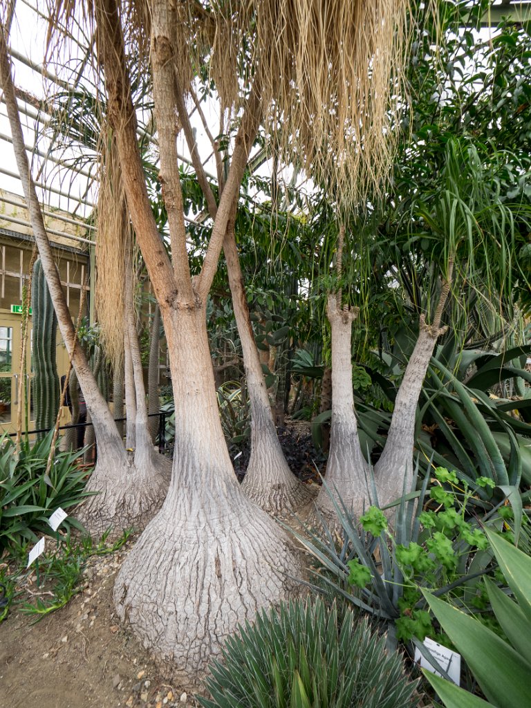 PC309834.jpg - OLYMPUS DIGITAL CAMERA