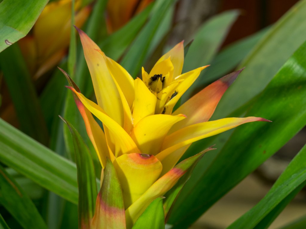 PC309856.jpg - OLYMPUS DIGITAL CAMERA