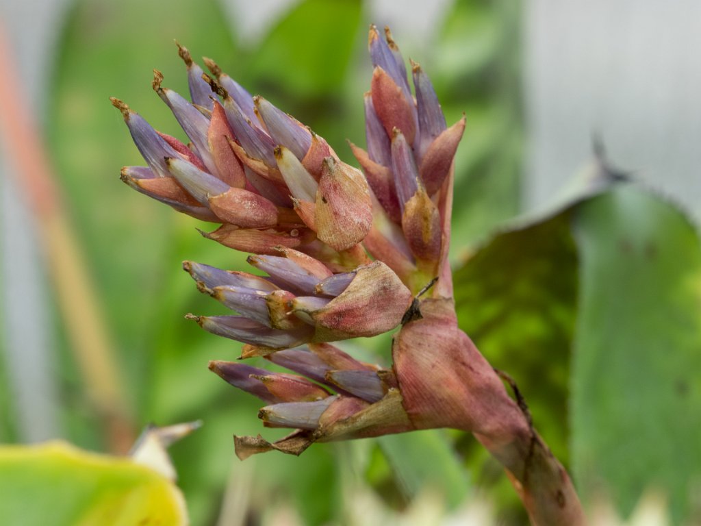 PC309861.jpg - OLYMPUS DIGITAL CAMERA