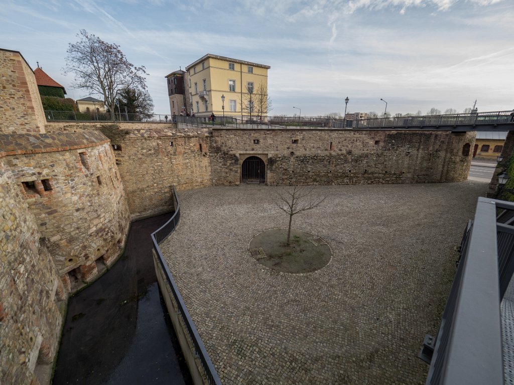 PC310662.jpg - OLYMPUS DIGITAL CAMERA