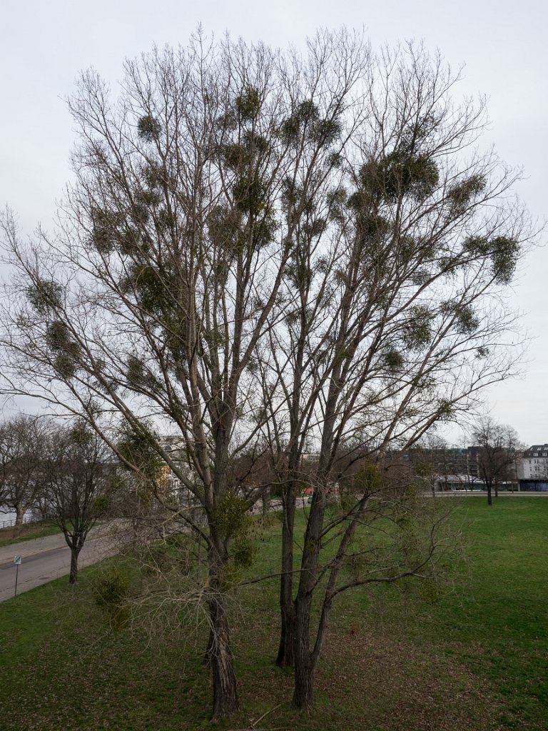 PC310742.jpg - OLYMPUS DIGITAL CAMERA