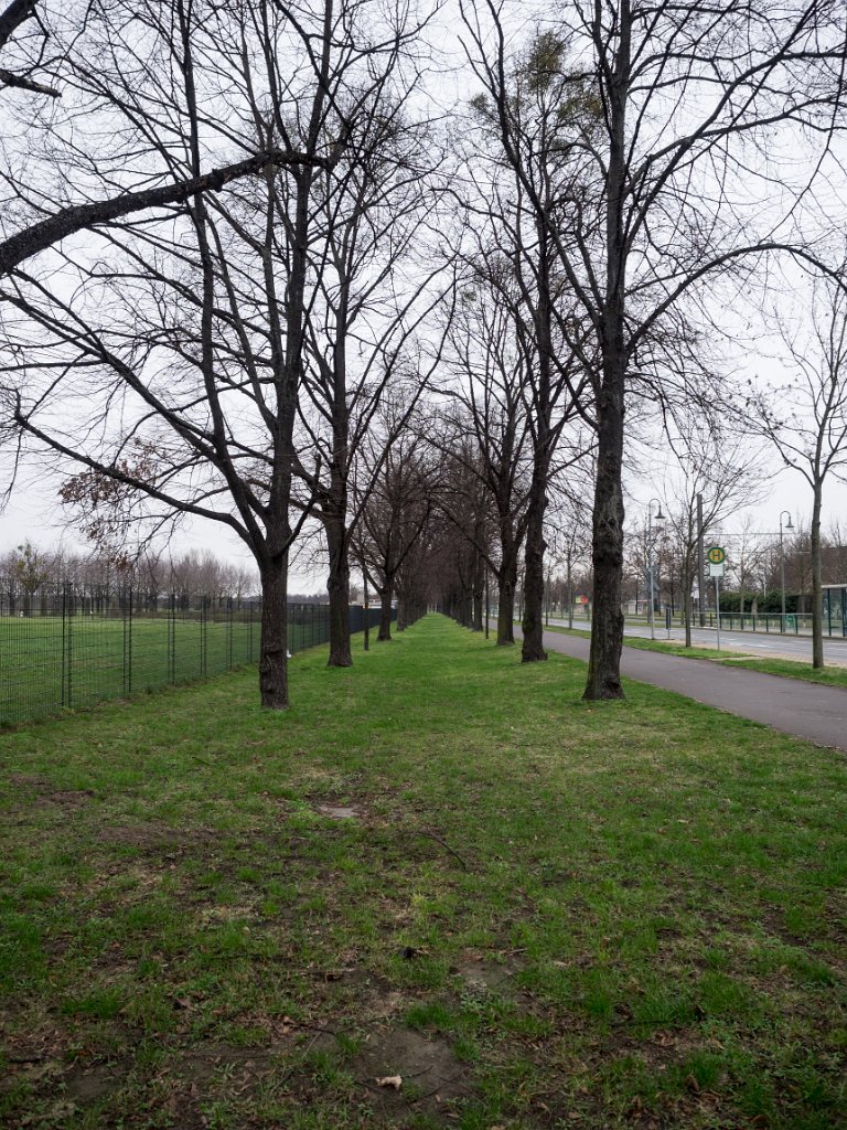 PC310773.jpg - OLYMPUS DIGITAL CAMERA