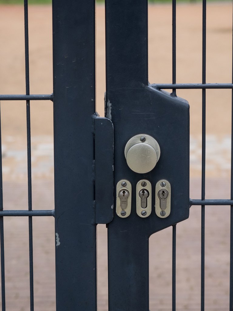 PC310780.jpg - OLYMPUS DIGITAL CAMERA