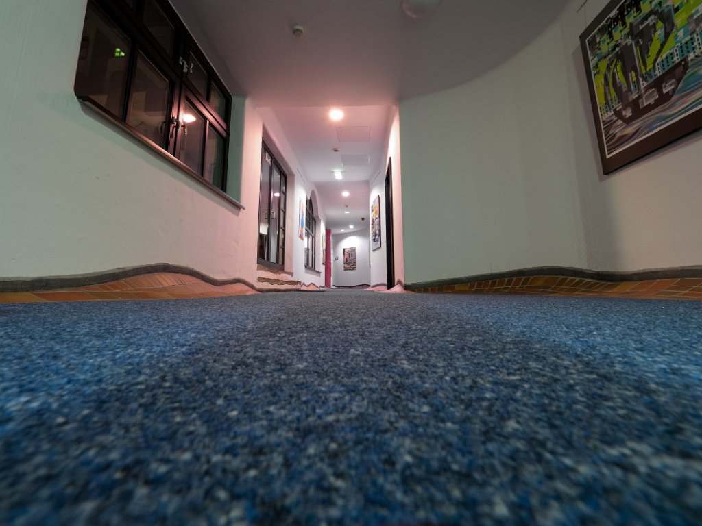 PC310867.jpg - OLYMPUS DIGITAL CAMERA