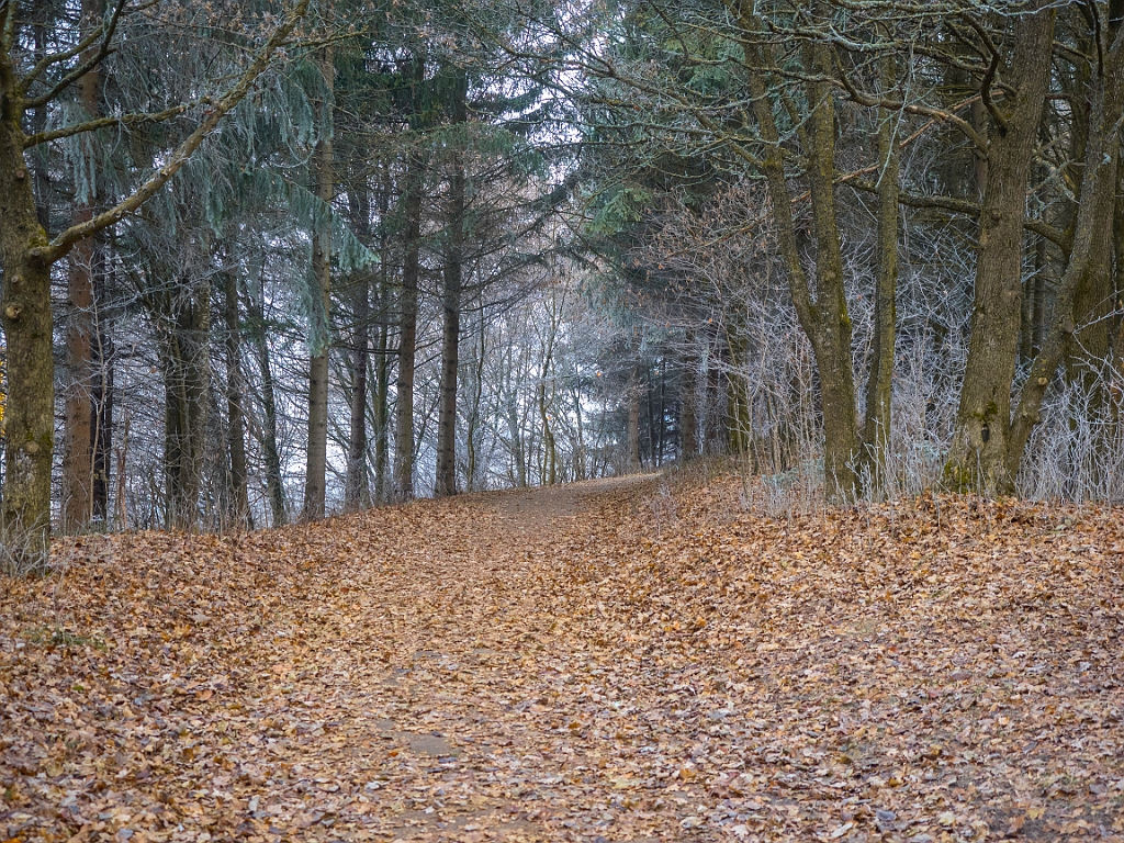 PC309077.jpg