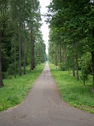 P5287208-Bearbeitet