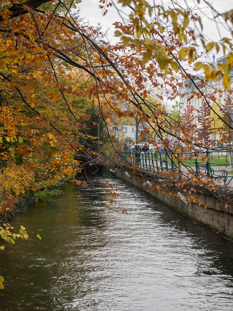 PA285798.jpg
