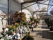 P1292282