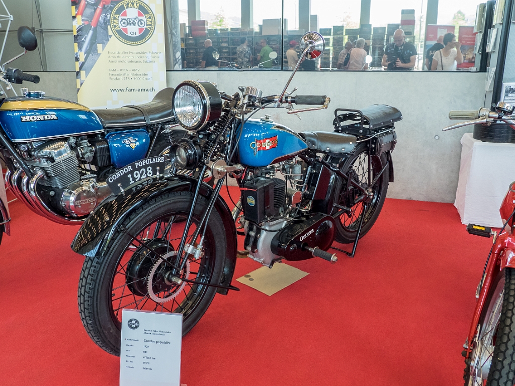 P5273619.jpg - OLYMPUS DIGITAL CAMERA