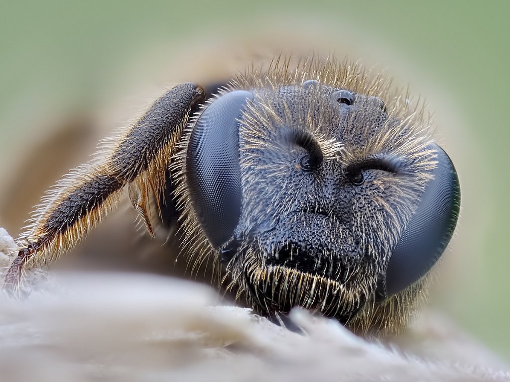 P5045550-176b.jpg - OLYMPUS DIGITAL CAMERA