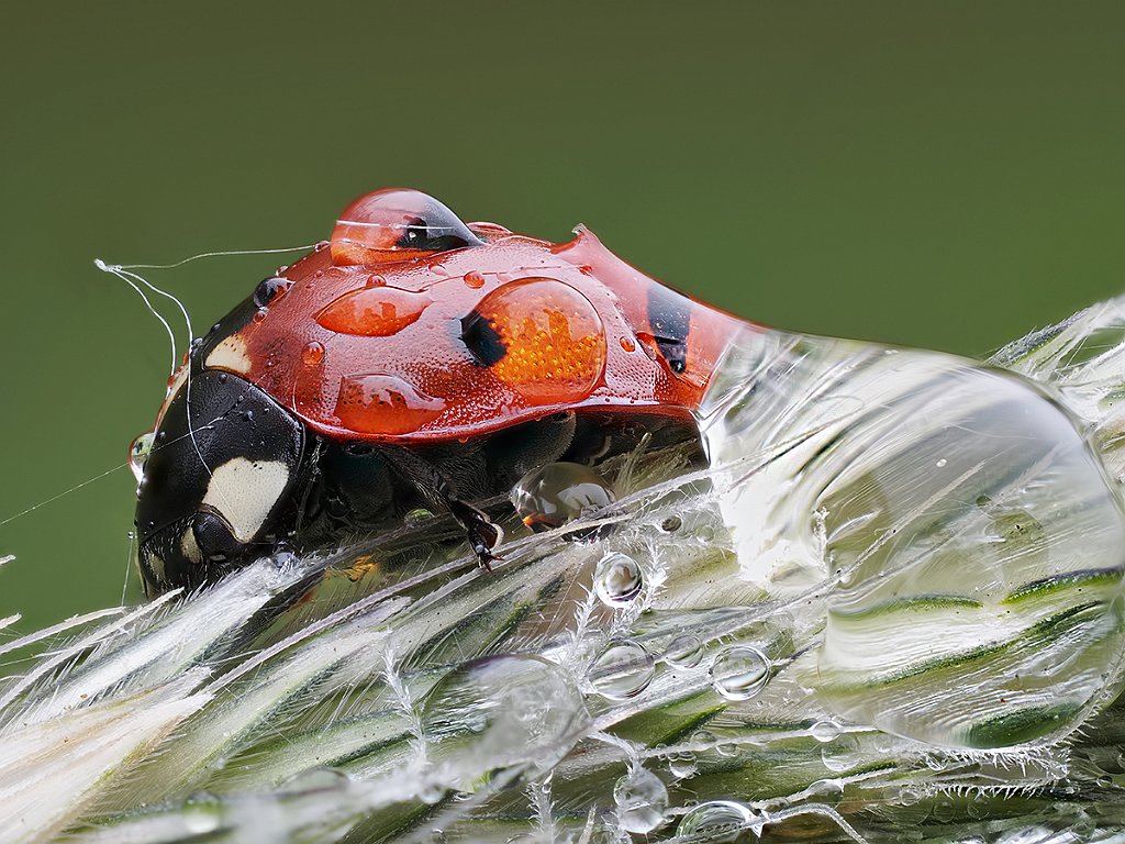 P5050001-135k.jpg - OLYMPUS DIGITAL CAMERA