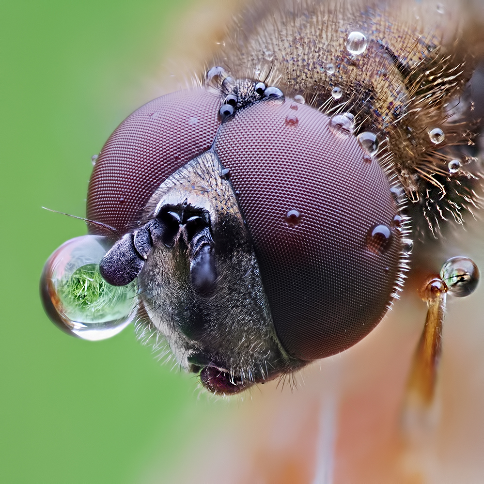 P5057034-109k.jpg - OLYMPUS DIGITAL CAMERA