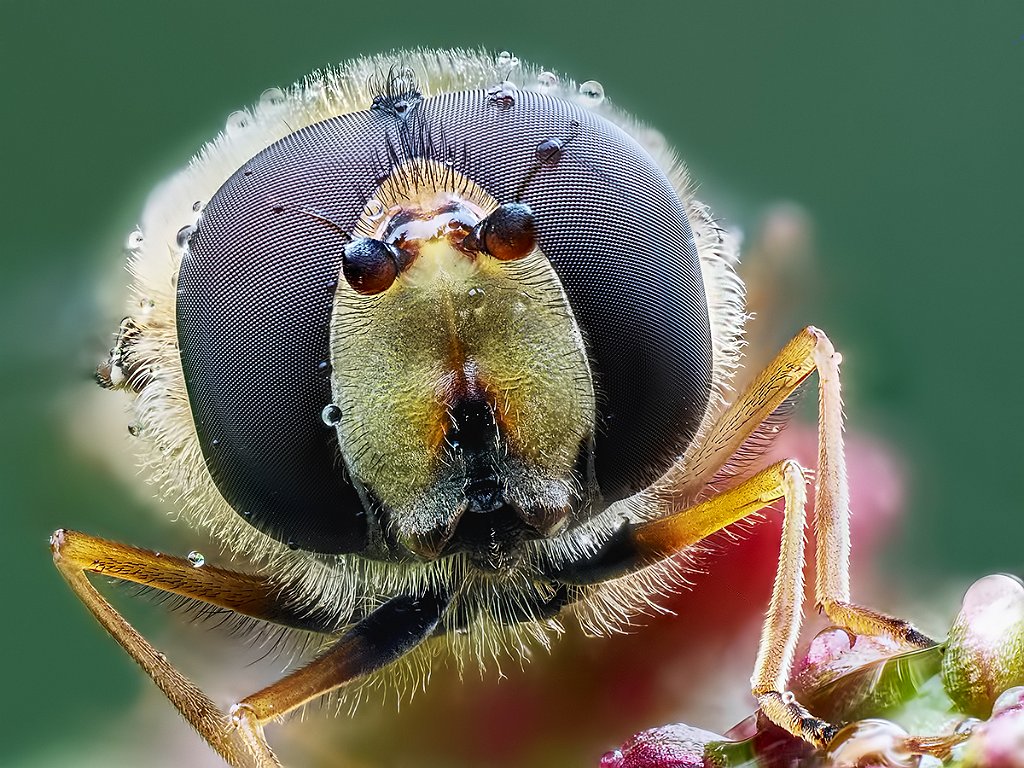 P5058238-103k.jpg - OLYMPUS DIGITAL CAMERA