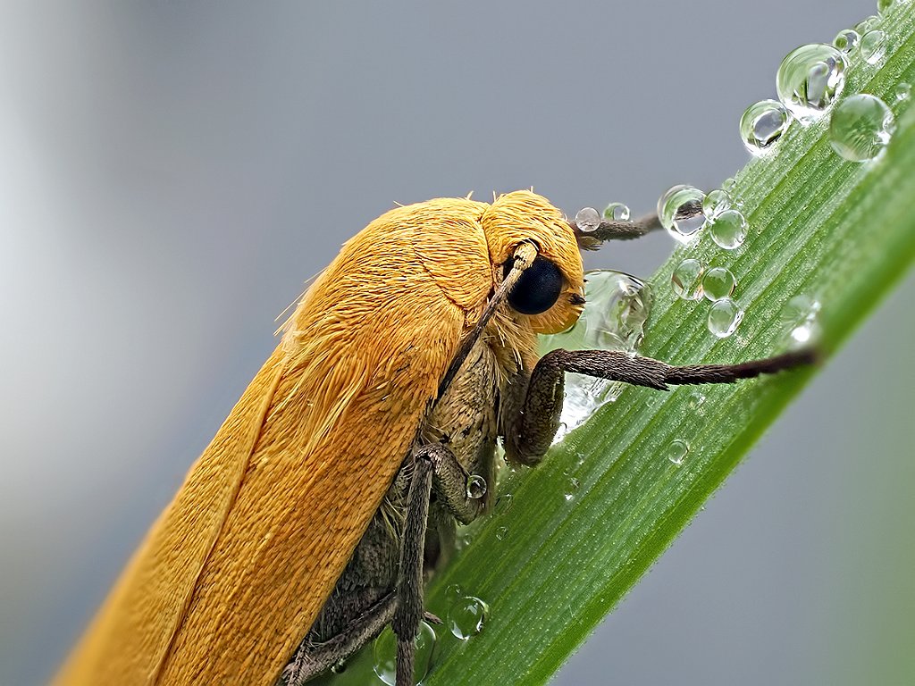 P5059325-74k.jpg - OLYMPUS DIGITAL CAMERA